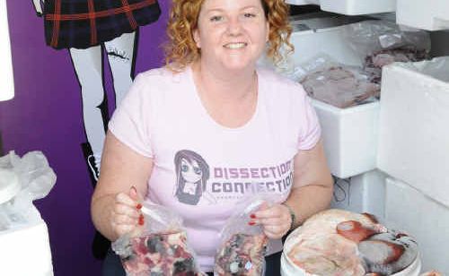 Deb Cook, of Dissection Connection, arranges the delivery of animal body parts to schools for dissection by science students. Deb Cook, of Dissection Connection, arranges the delivery of animal body parts to schools for dissection by science students.